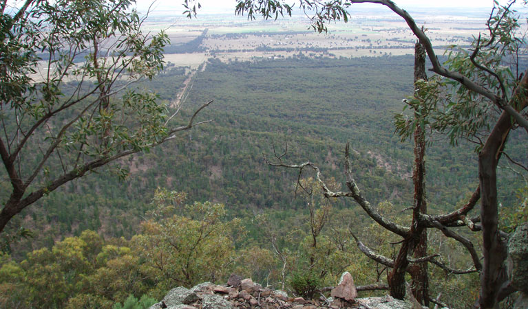 Burrabadine walking track view, Goobang National Park. Photo: Amanda Lavender &copy; OEH