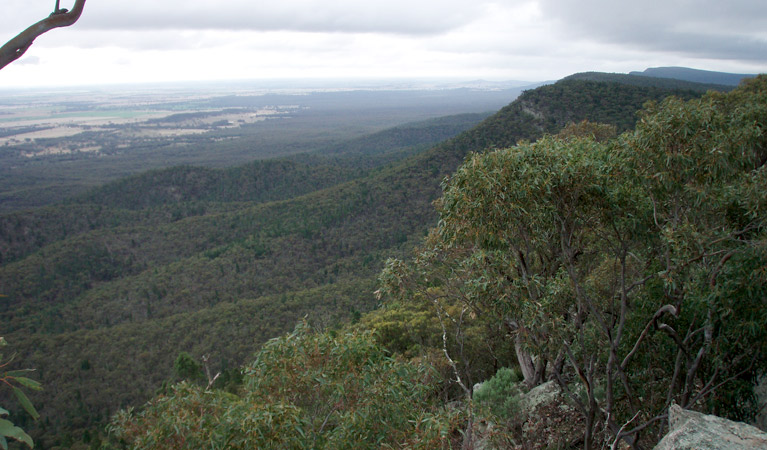 Burrabadine walking track landscape, Goobang National Park. Photo: Amanda Lavender &copy; OEH