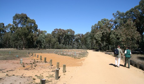 Wanda Wandong campground, Goobang National Park. Photo: OEH