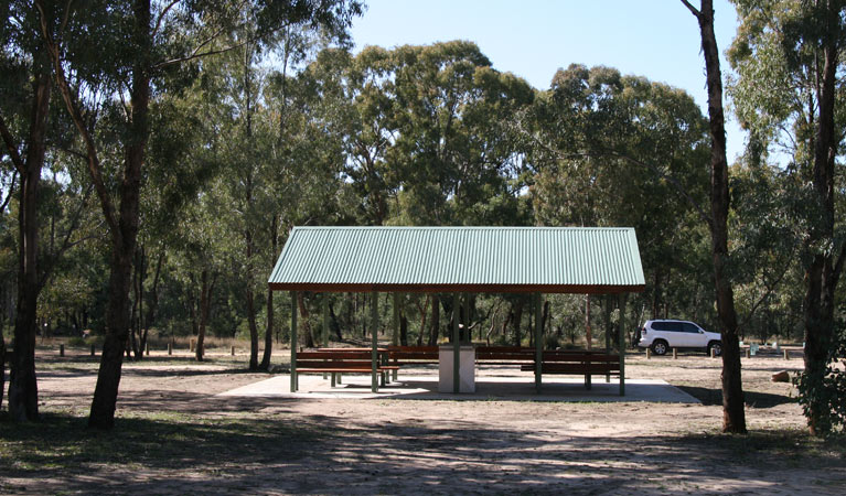 A picnic shelter at Wanda Wandong campground, Goobang National Park. Photo: OEH