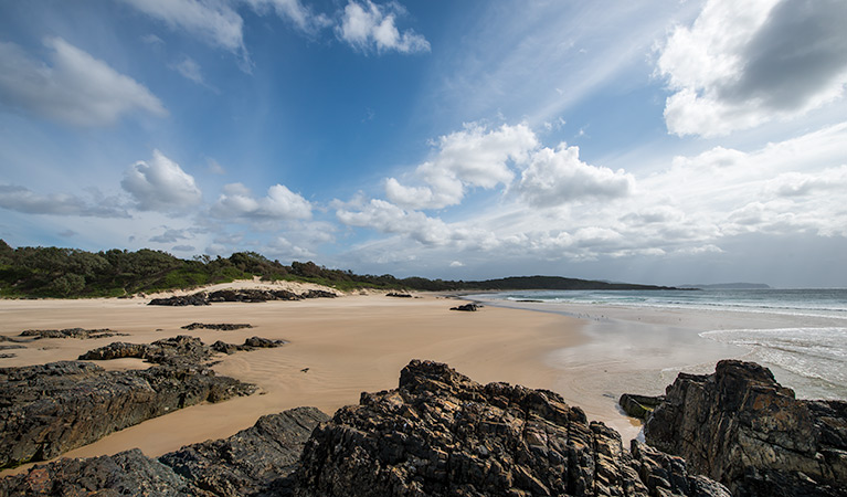 Delicate campground, Goolawah National Park. Photo: John Spencer/DPIE