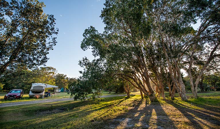 Delicate campground, Goolawah Regional Park. Photo: John Spencer/DPIE