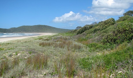 Goolawah Regional Park. Photo: Penny Kendall