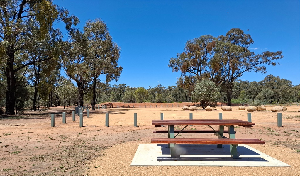 Picnic table and chairs set amidst the majestic ironbark forest at Rileys Dam picnic area. Photo: Sierra Weston/DCCEEW &copy; DCCEEW