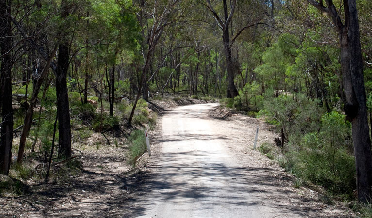 Big River drive, Goulburn River National Park. Photo: Nick Cubbin