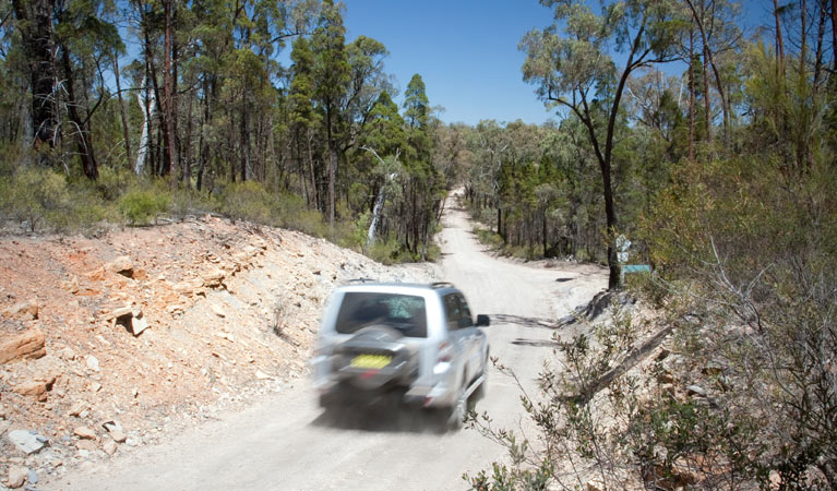 Big River drive, Goulburn River National Park. Photo: Nick Cubbin