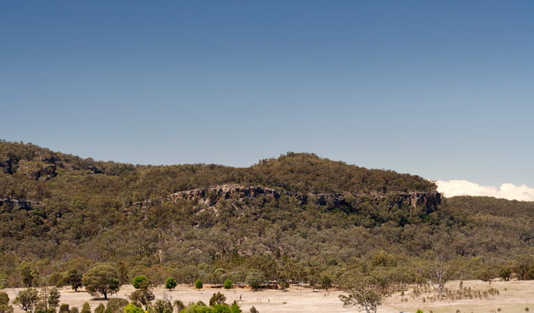 Goulburn River National Park. Photo: Nick Cubbin/NSW Government