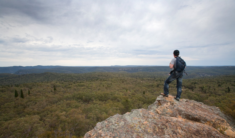 Lees Pinch lookout walking track, Goulburn River National Park. Photo: Nick Cubbin/NSW Government