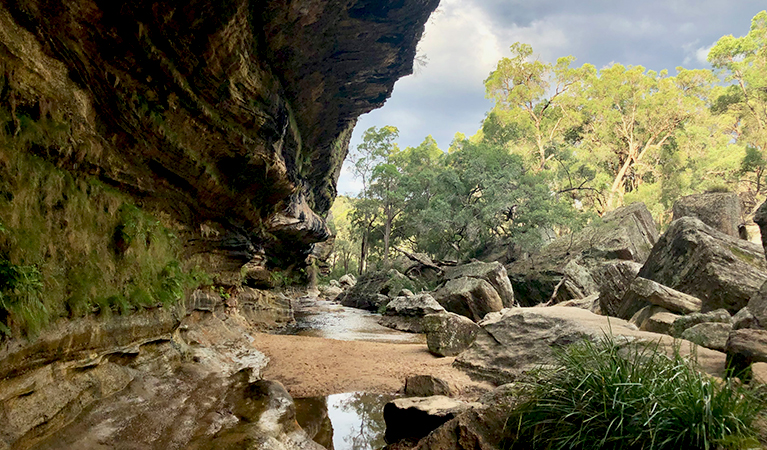 Goulburn River flowing beneath The Drip, in Goulburn River State Conservation Area. Credit: Natasha Webb © DPIE/Natasha Webb