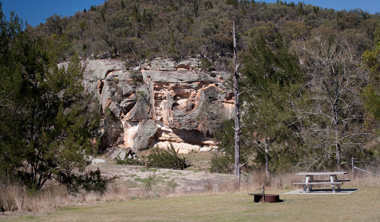 Spring Gully campground, Goulburn River National Park. Photo: Nick Cubbin/NSW Government