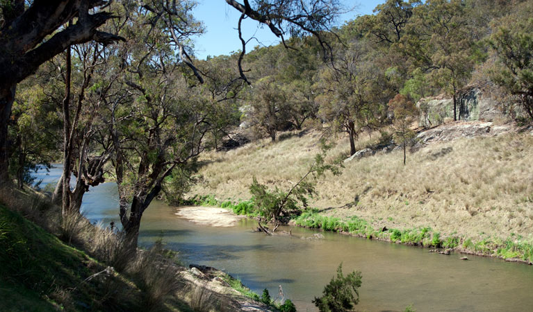 Spring Gully campground, Goulburn River National Park. Photo: Nick Cubbin/NSW Government