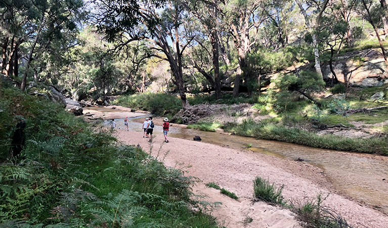 A family with young kids walk along the sand banks at The Drip. Photo: Natasha Webb