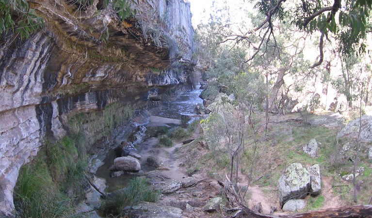 View of The Drip's rockpools at the foot of the cliff. Photo: Greg Lowe