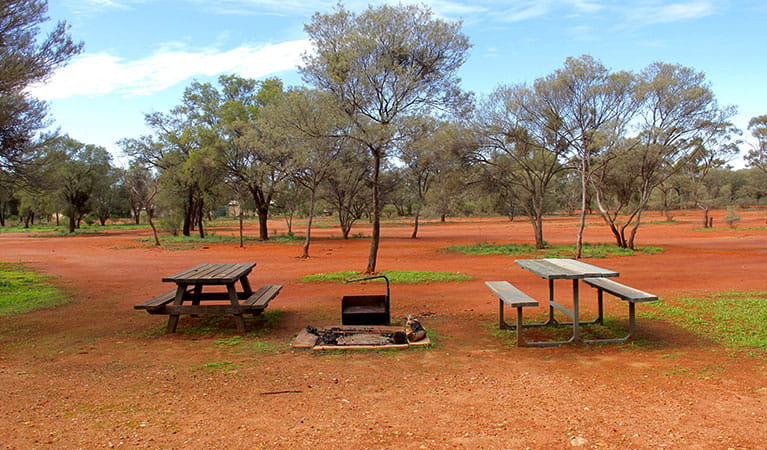 Belah Shearers' Quarters, Gundabooka National Park. Photo: John Yurasek/NSW Government
