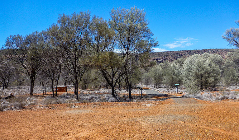 Bennetts Gorge picnic area, Gundabooka National Park. Photo: John Good