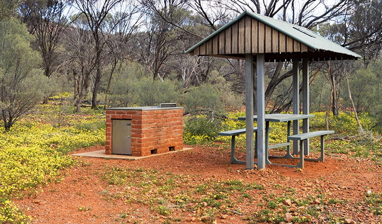 Barbecue and picnic table with shelter set in a clearing with yellow wildflowers. Photo credit: Leah Pippos &copy; DPIE
