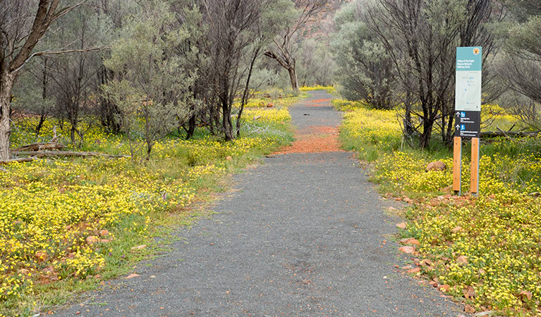 Trackhead for Valley of the Eagles walk in Gundabooka National Park. Photo credit: Leah Pippos &copy; DPIE