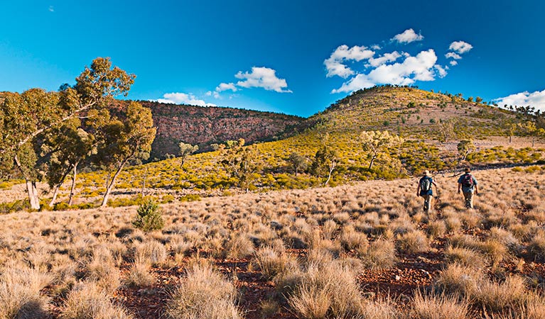 Bennetts Gorge walk, Gundabooka National Park. Photo: David Finnegan Copyright:NSW Government