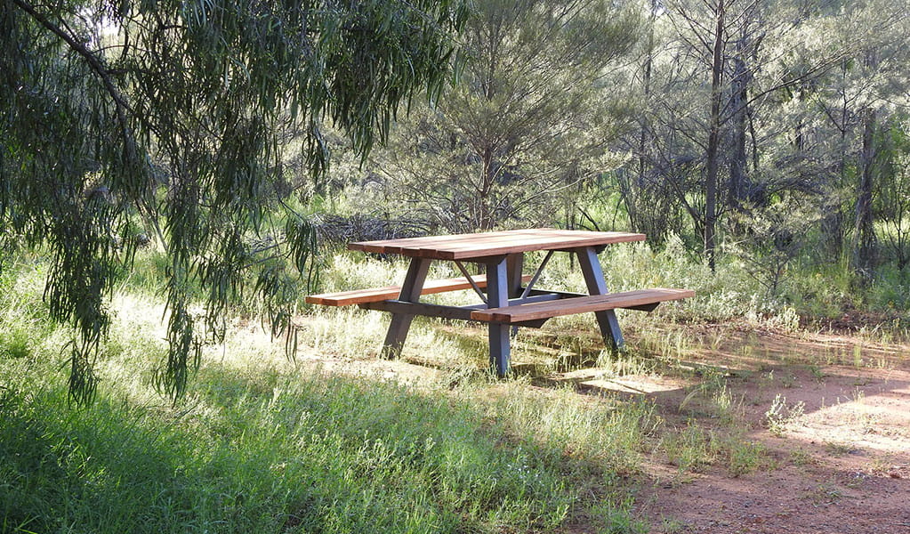 Photo of a picnic table surrounded by trees, grass and shurb at Dry Tank campground and picnic area in Gundabooka National Park. Photo credit: Jess Ellis/DPE &copy; DPE