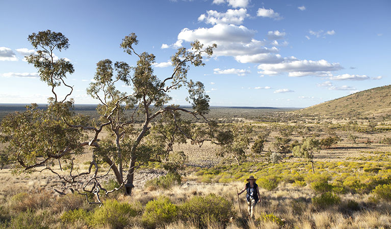 A bushwalker walking through Gundabooka National Park. Photo: David Finnegan &copy; DPIE