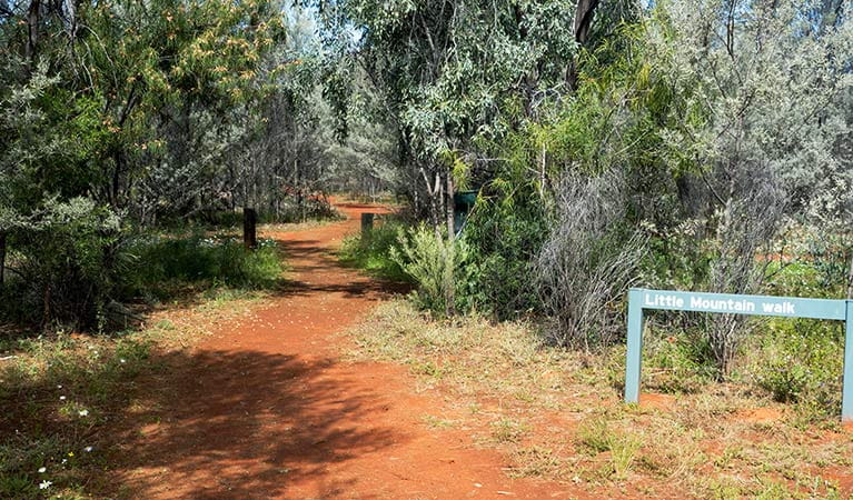 Start of Little Mountain walking track with park signage. Photo credit: Leah Pippos &copy; DPIE