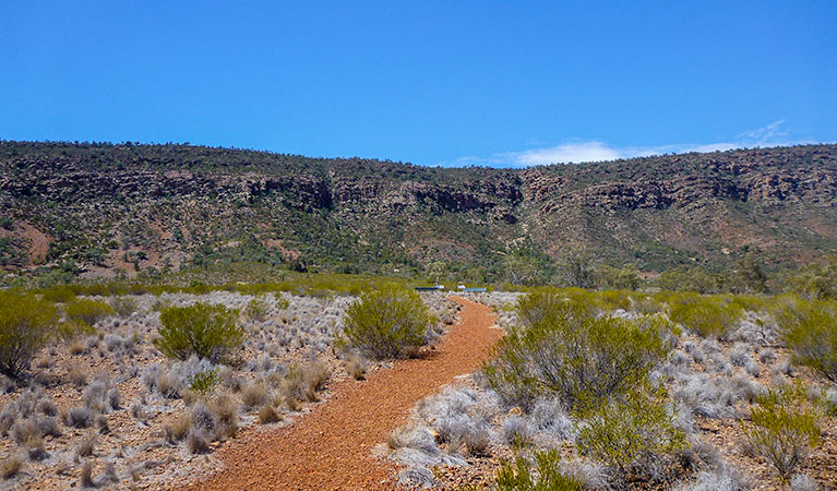 Valley of the Eagles walk, Gundabooka National Park. Photo &copy; John Good