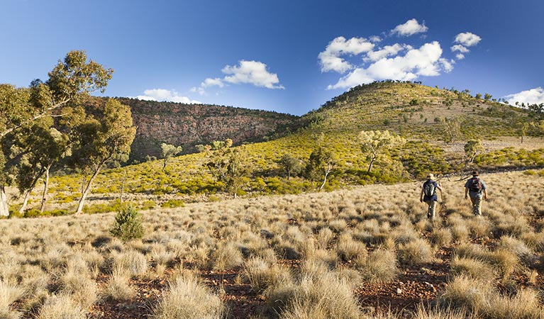 Valley of the Eagles walk, Gundabooka National Park. Photo: David Finnegan &copy; OEH