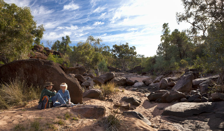 Yapa (Mulgowan) Aboriginal art site walking track, Gundabooka National Park. Credit: David Finnegan &copy; David Finnegan/NSW Government