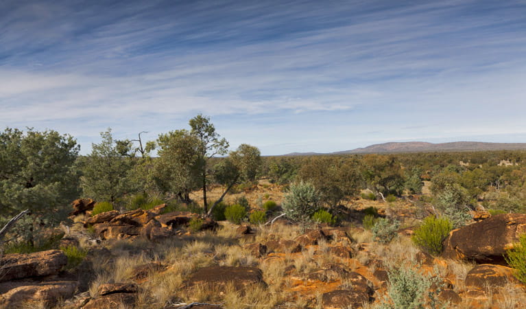 Yapa (Mulgowan) Aboriginal art site walking track, Gundabooka National Park. Credit: David Finnegan &copy; David Finnegan/NSW Government