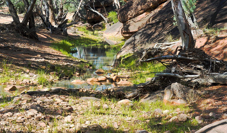 Rocky creek along at Yapa (Mulgowan) Aboriginal art site walking track in Gundabooka National Park. Credit: Leah Pippos &copy; DPIE
