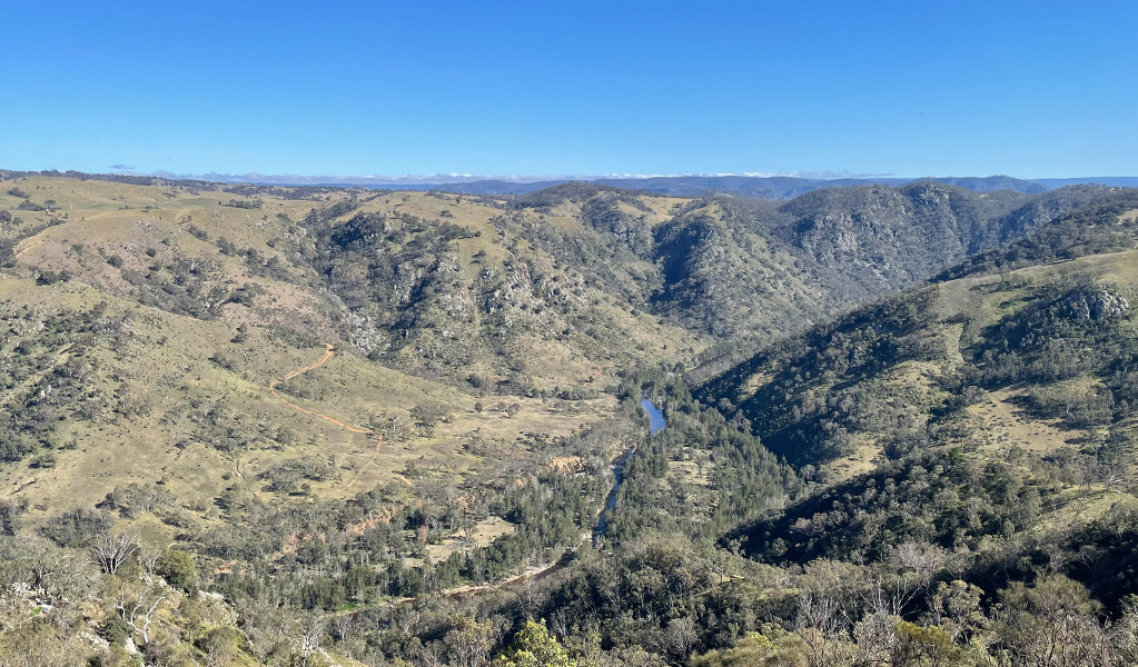 View of Guula Ngurra National Park, from Baldy Billy Peak walking track in Little Forest West area. Photo credit: Andrew Boleyn &copy; DPIE