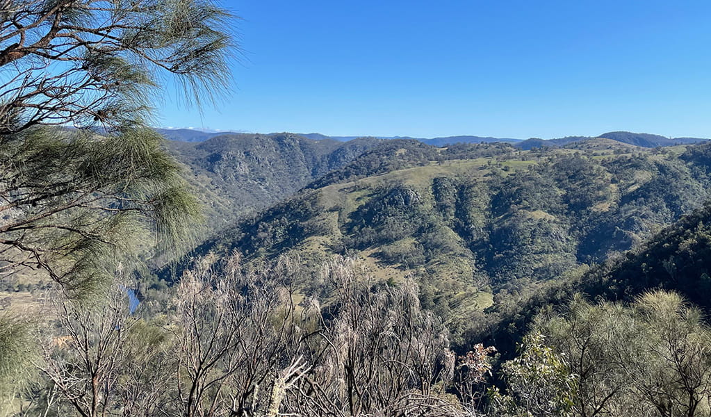 View of Guula Ngurra National Park, from Baldy Billy Peak walking track in Little Forest West area. Photo credit: Andrew Boleyn &copy; DPIE
