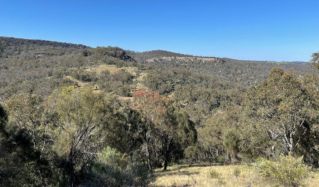 View of Guula Ngurra National Park, from Baldy Billy Peak walking track in Little Forest West area. Photo credit: Andrew Boleyn &copy; DPIE