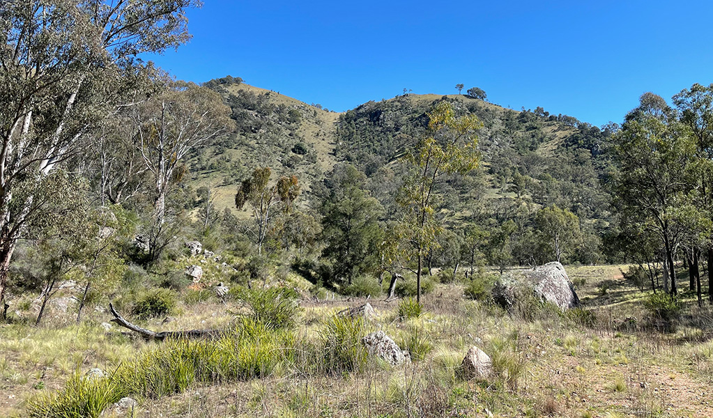 Wollondilly River walking track in Little Forest West Area, Guula Ngurra National Park. Photo credit: Andrew Boleyn &copy; DPIE