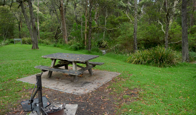 Chaelundi Campground, Guy Fawkes River National Park. Photo: NSW Government