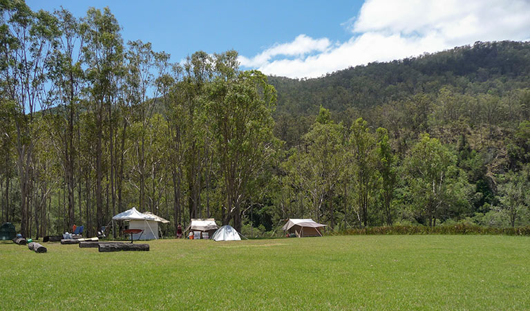 Dalmorton campground, Guy Fawkes River State Conservation Area. Photo: Richard Ghamraoui