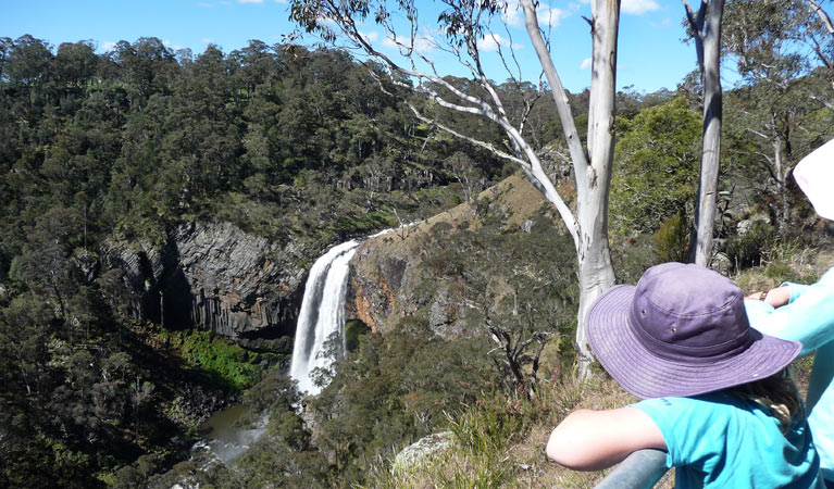 Ebor Falls Lookout, Guy Fawkes River National Park. Photo: Barbara Webster/NSW Government