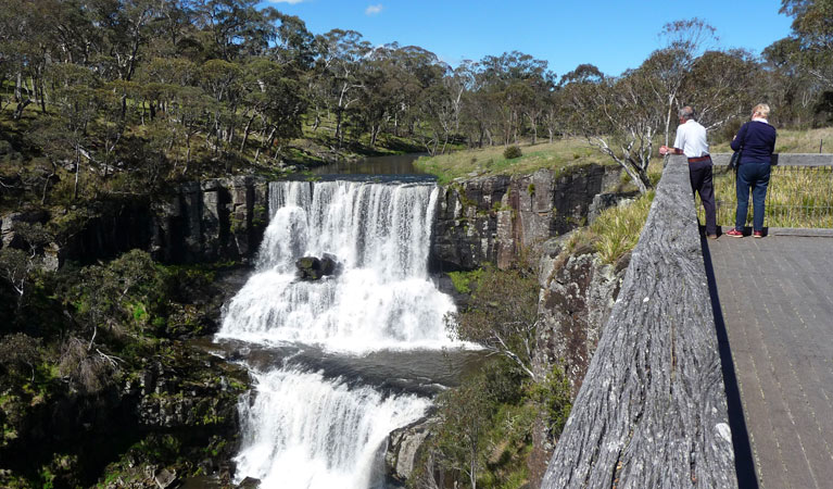 Ebor Falls Lookout, Guy Fawkes River National Park. Photo: Barbara Webster/NSW Government