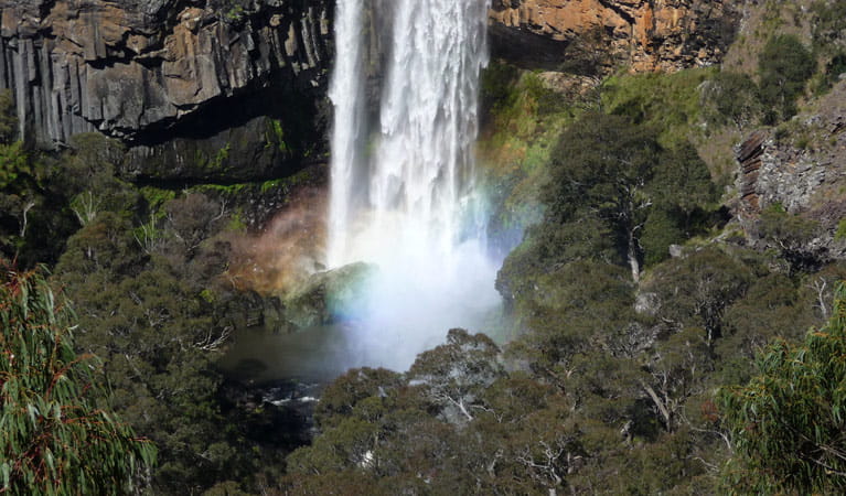 Ebor Falls Lookout, Guy Fawkes River National Park. Photo: Barbara Webster/NSW Government