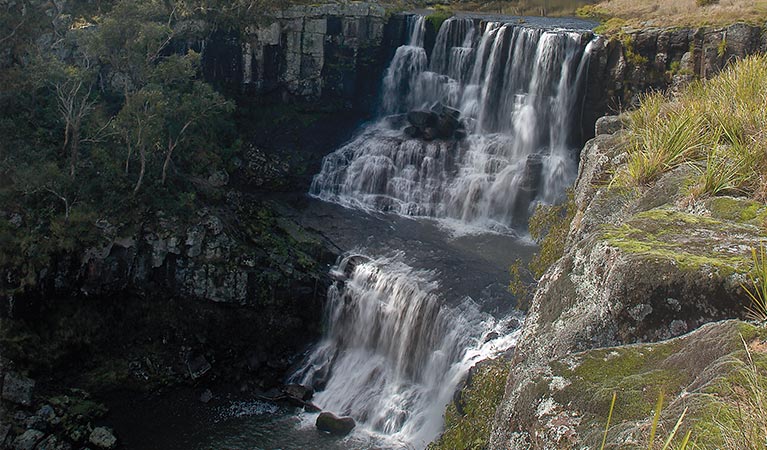 Ebor Falls, Guy Fawkes River National Park. Photo: Michael Van Ewijk/OEH