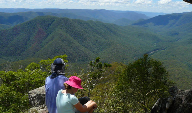 Escarpment Walk, Guy Fawkes River National Park. Photo &copy; Barbara Webster