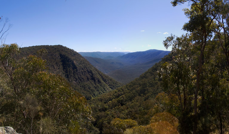 Escarpment Walk, Guy Fawkes River National Park. Photo: Barbara Webster