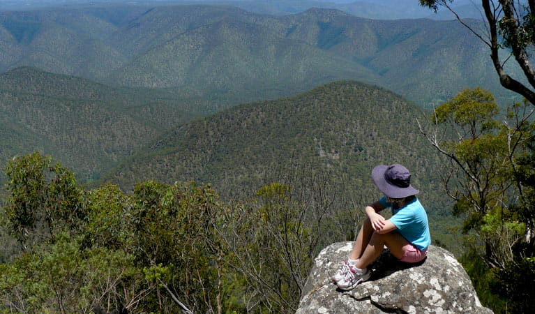Misty Creek Lookout, Guy Fawkes River National Park. Photo: Barbara Webster/NSW Government