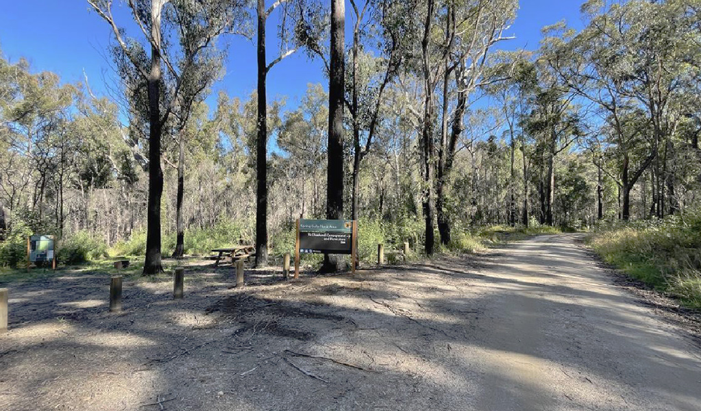 Picnic area with picnic table in an open woodland setting, next to an unpaved access road. Photo credit: Tina Sullivan &copy; DPIE