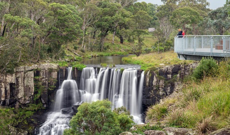 People on a viewing platform over Ebor Falls, Guy Fawkes River National Park. Photo: David Waugh, &copy; DCCEEW