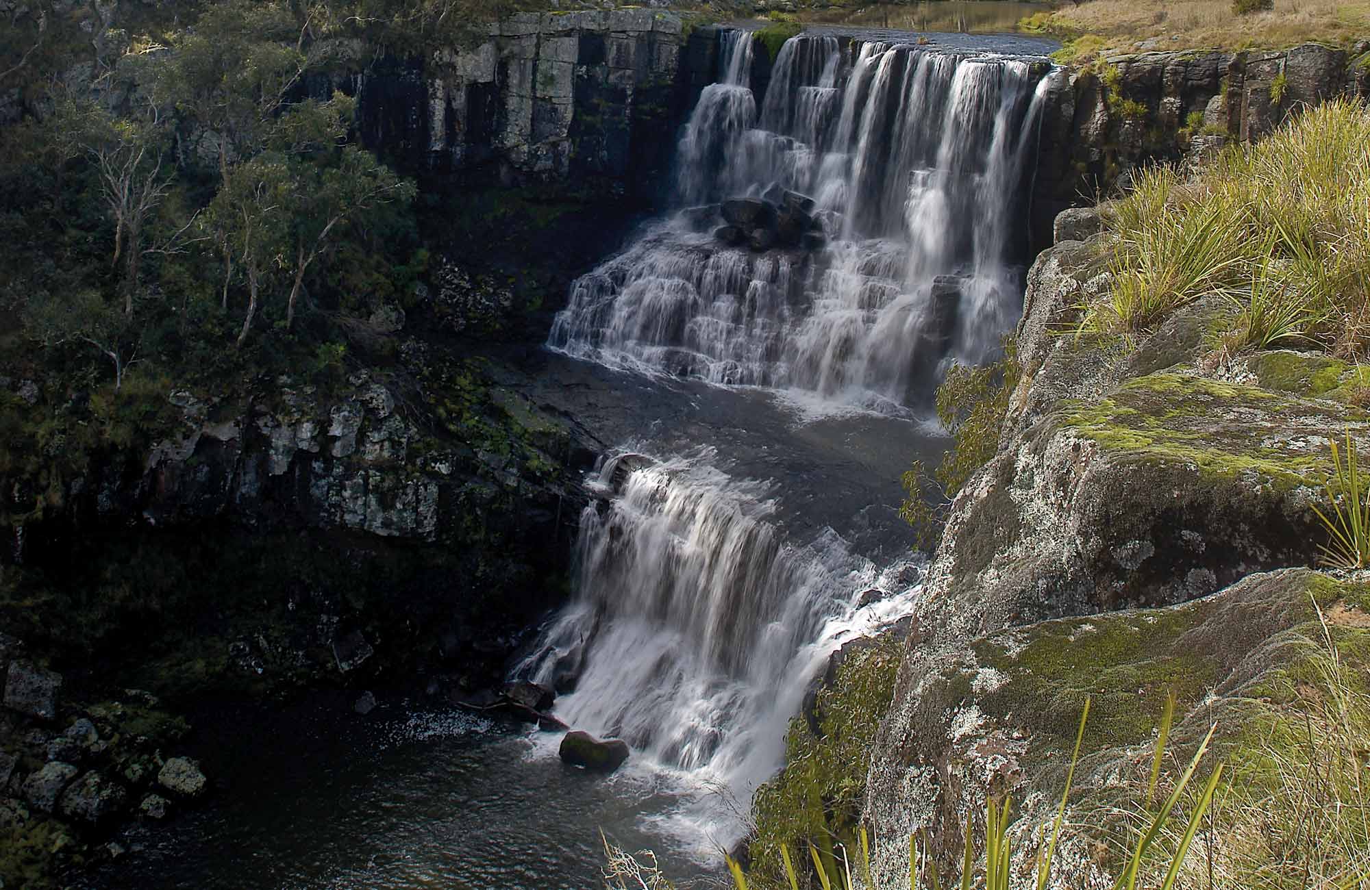 Ebor Falls, Guy Fawkes River National Park. Photo: NSW Government