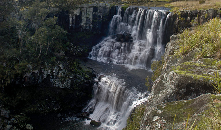 Ebor Falls, Guy Fawkes River National Park. Photo:Michael Van Ewijk/OEH