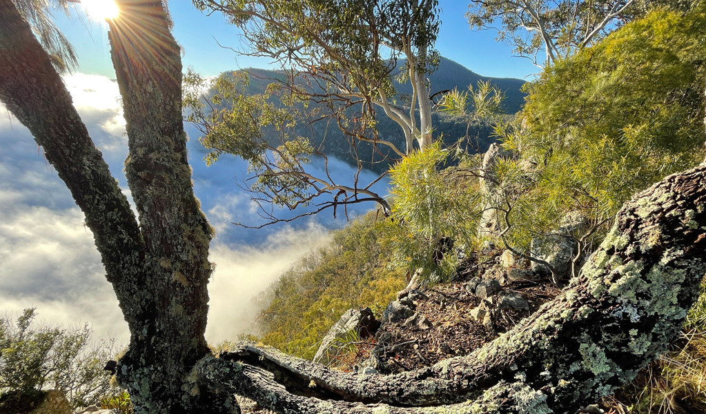 View of mist and hills from Lucifers Thumb lookout, Guy Fawkes River National Park. Photo: Tina Sullivan/DCCEEW, &copy; Tina Sullivan