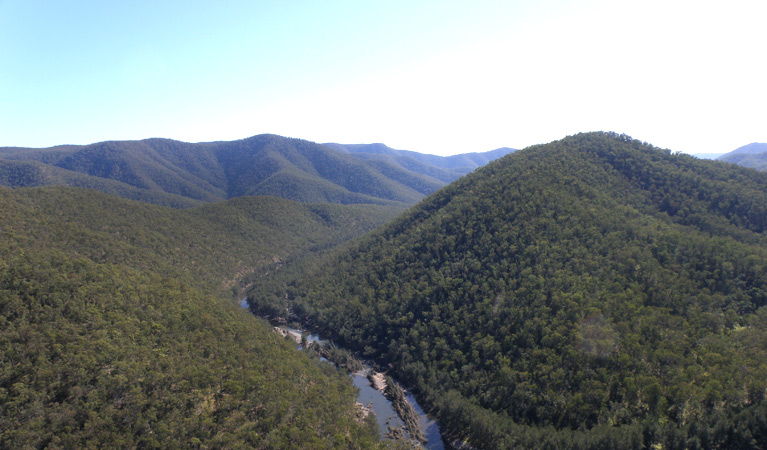 Guy Fawkes River, Guy Fawkes River National Park. Photo: S Leathers