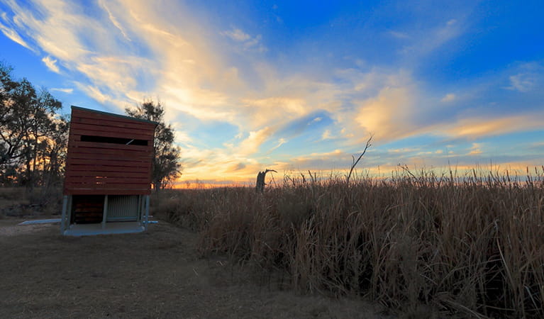 Wood and steel bird hide at the edge of Waterbird Lagoon at sunset. Photo: James Faris/OEH.